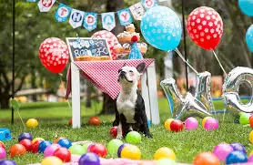 festejo de cumpleanos de perros