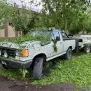 Los impresionantes nuevos destrozos que provoc� el granizo en varios sectores de San Rafael