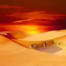 Hallan un oasis que permaneci� oculto en el desierto por 4000 a�os