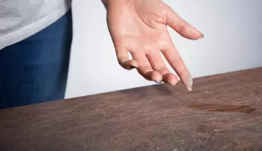 plumero