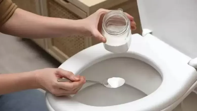sal en el inodoro