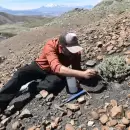 El descubrimiento en Vaca Muerta pone al petr�leo en segundo lugar