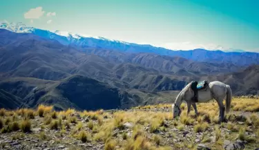 Pueblo los Chayales de Tunuy�n