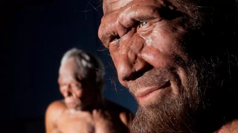 neandertal