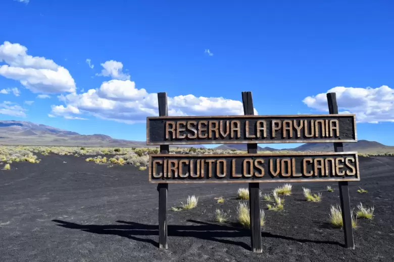 reserva la payunia