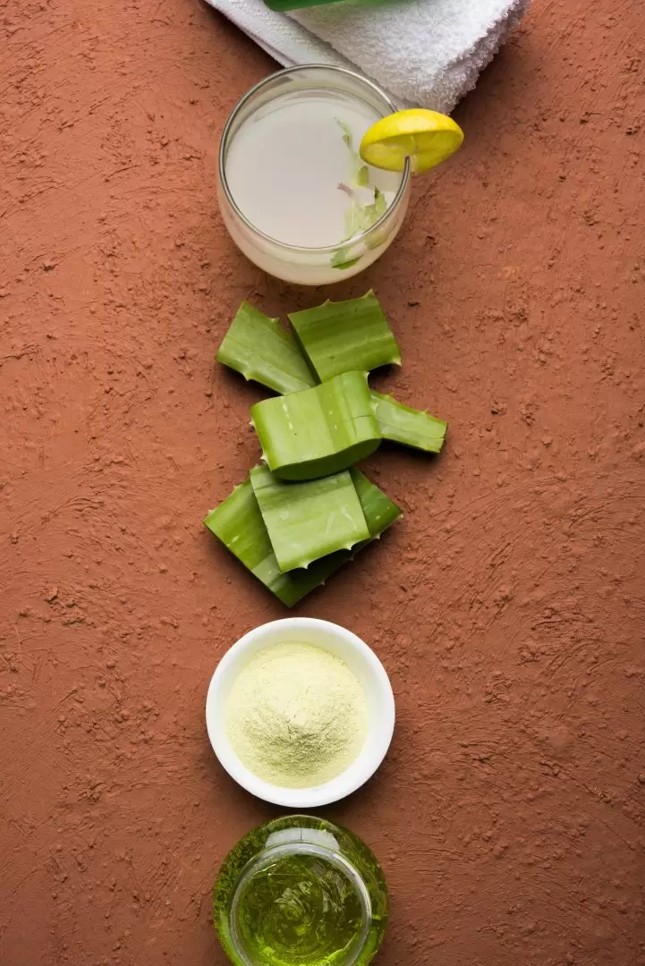 aloe vera