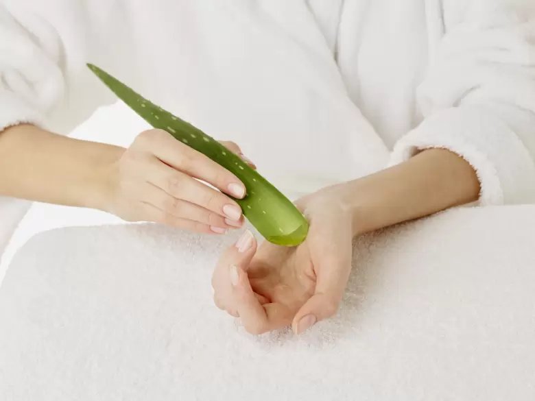 aloe vera