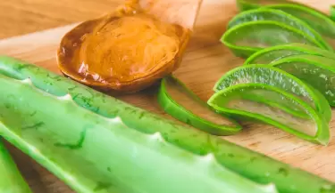 aloe vera