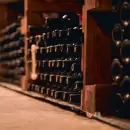 Mendoza proyecta un gran crecimiento en las exportaciones de vino