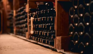 VINO