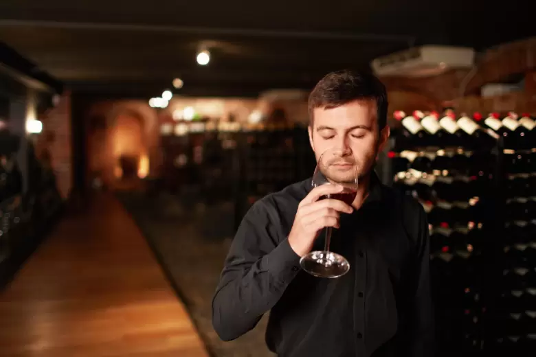 VINO