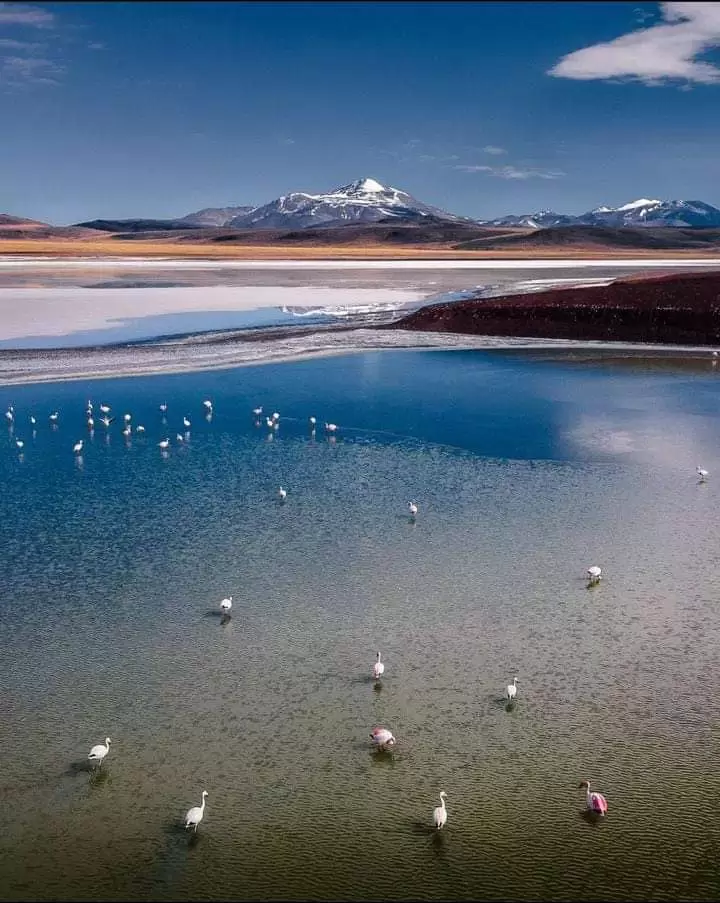 Laguna Brava