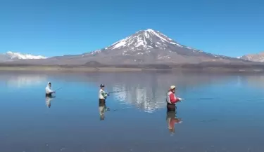 pesca