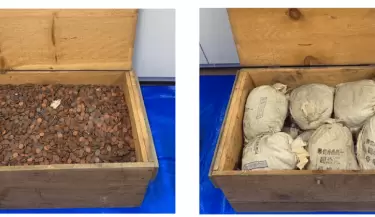 monedas