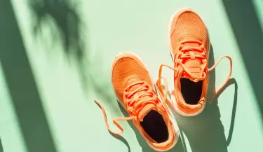 zapatillas