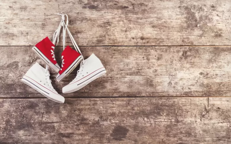 zapatillas