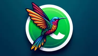 mopo colibri whatsapp