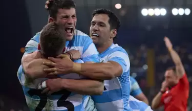 los pumas