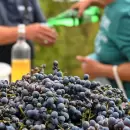 El Gobierno elimin� retenciones a productos vitivin�colas tras un pedido de la COVIAR