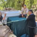 Mendoza traslad� a casi 100 animales que estaban en cautiverio a un centro de rescate en Santa Fe