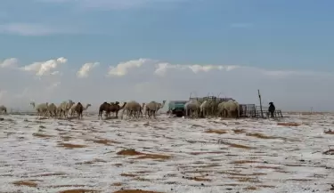 imagenes de la nevada en pleno desierto