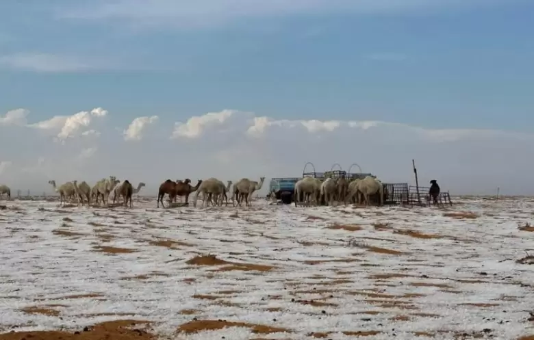 imagenes de la nevada en pleno desierto