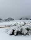 san rafael