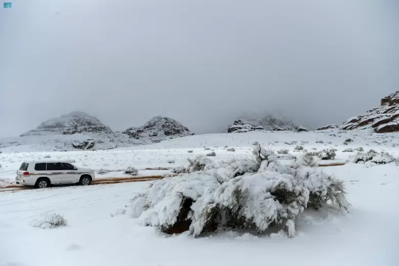 por primera vez en su historia, este desierto registra nevadas