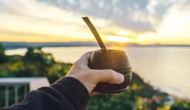 mate con menta