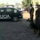 La Paz: gracias a una perra polic�a lograron encontrar un arma escondida en un motorhome