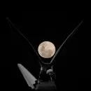 La �ltima superluna de 2024 ilumin� los cielos de Mendoza acompa�ada por una lluvia de meteoros