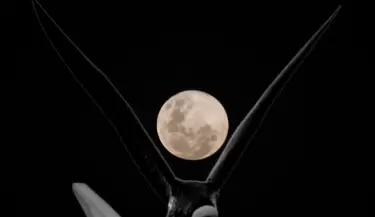 Superluna del s�bado 16 de Noviembre de 2024 - Fotos: Tom�s Lobo