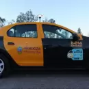 Mendoza abrir� nuevas licencias para taxis: �Qu� implicar� para el sector del transporte?