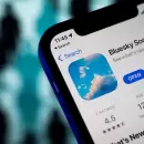 Bluesky: la red social que busca competir con X