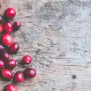 El mejor truco casero para cultivar ar�ndanos en el jard�n