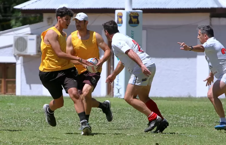 rugby touch