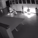 El VIDEO que sorprendió al mundo: Robot con IA en Shanghái convence a otros robots de abandonar sus trabajos