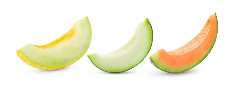 melon