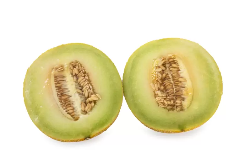 melon