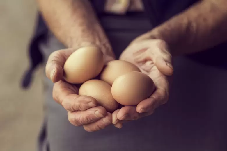huevos