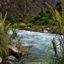 Tragedia en Malarg�e: un hombre se ahog� al intentar cruzar un arroyo