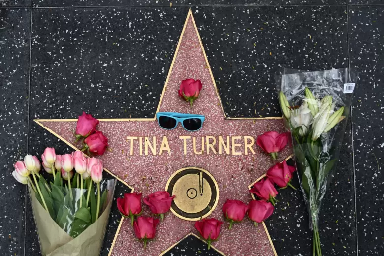 tina turner