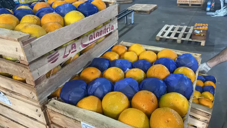 Expectativa por los aumentos que pueda generar la proximidad de las fiestas en el mercado interno