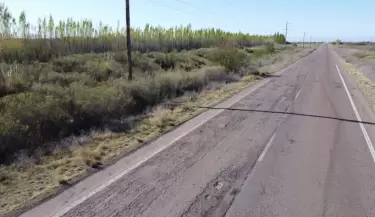 ruta