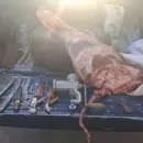 Detuvieron a dos hermanos que transportaban carne vacuna y dos quirquinchos faenados