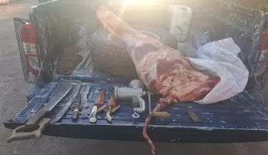 carne