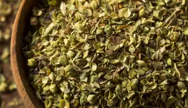 Oregano