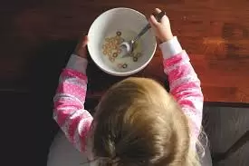 alimentacion