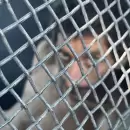 Un mendocino fue detenido en San Juan por generar disturbios y da�ar una obra en construcci�n