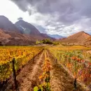 Un pueblo escondido en Mendoza: paisajes �nicos para una escapada inolvidable